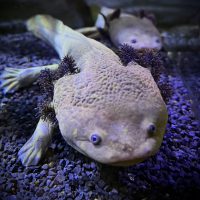Aquarium Wilhelmshaven