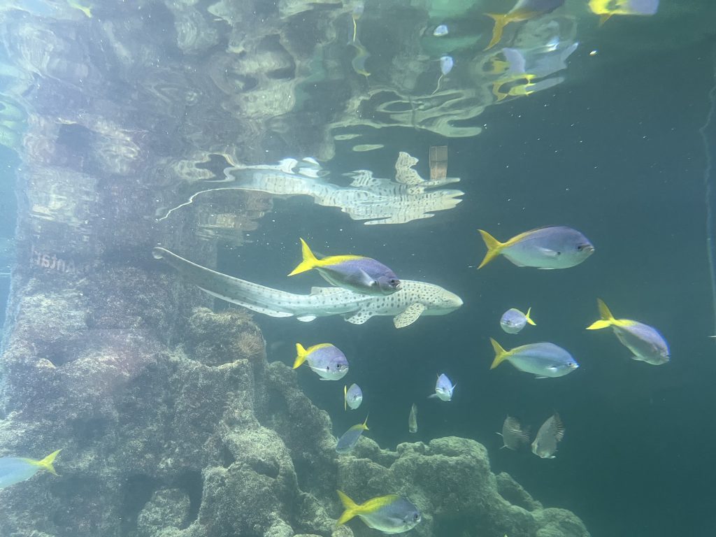 Aquarium Wilhelmshaven