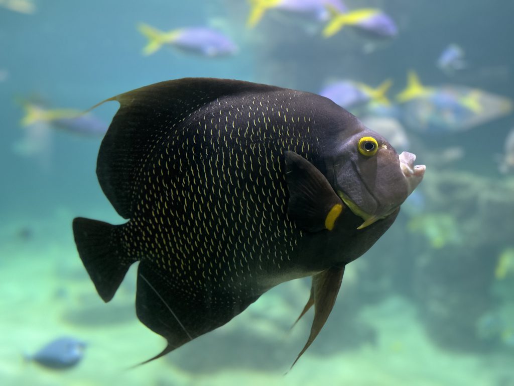 Aquarium Wilhelmshaven