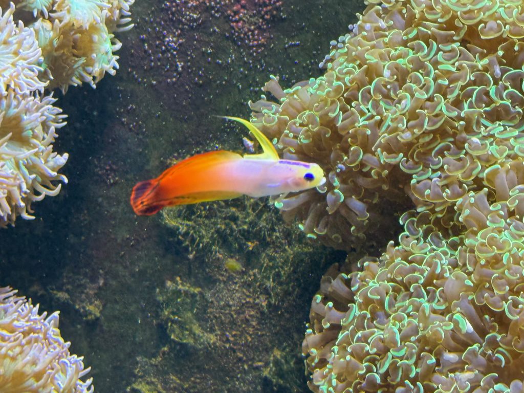 Aquarium Wilhelmshaven