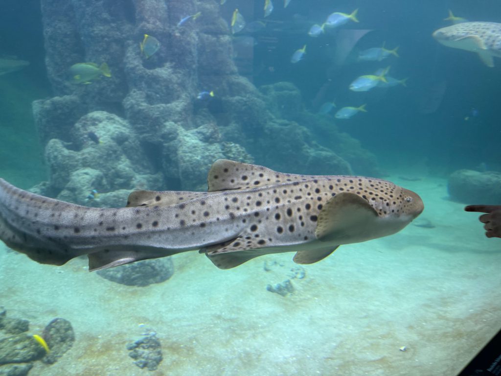 Aquarium Wilhelmshaven