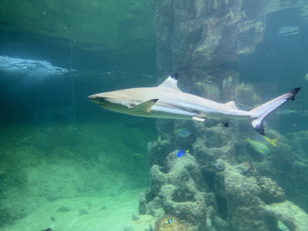 Aquarium Wilhelmshaven