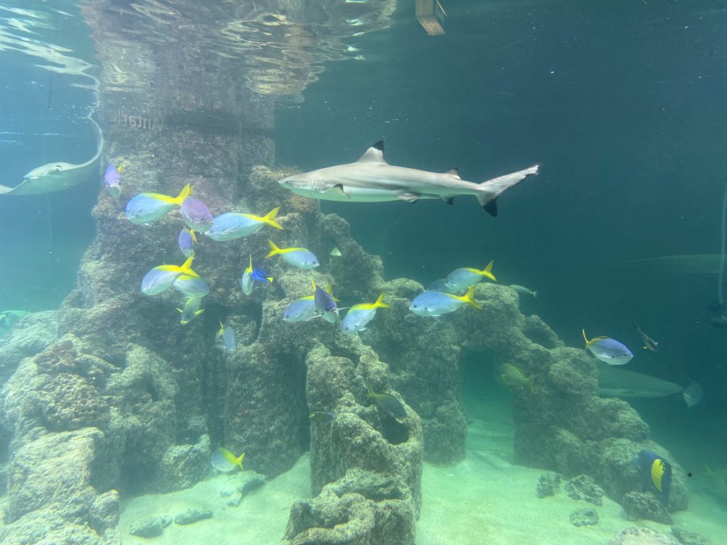Aquarium Wilhelmshaven