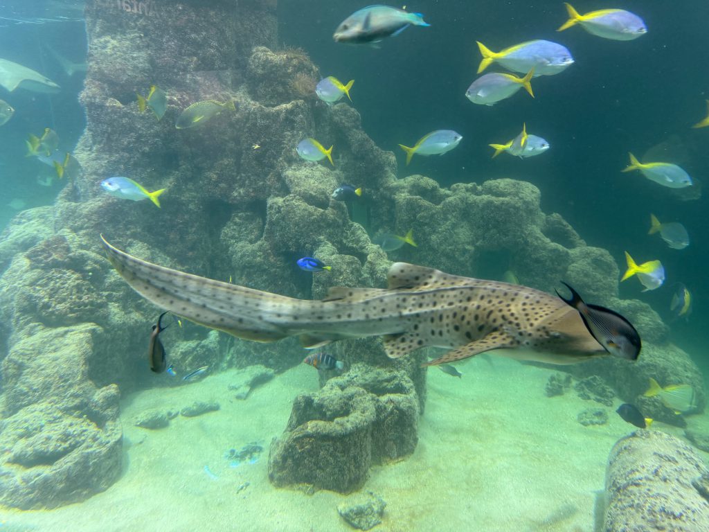 Aquarium Wilhelmshaven