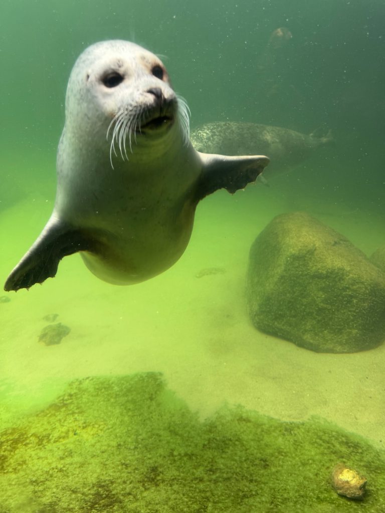 Aquarium Wilhelmshaven