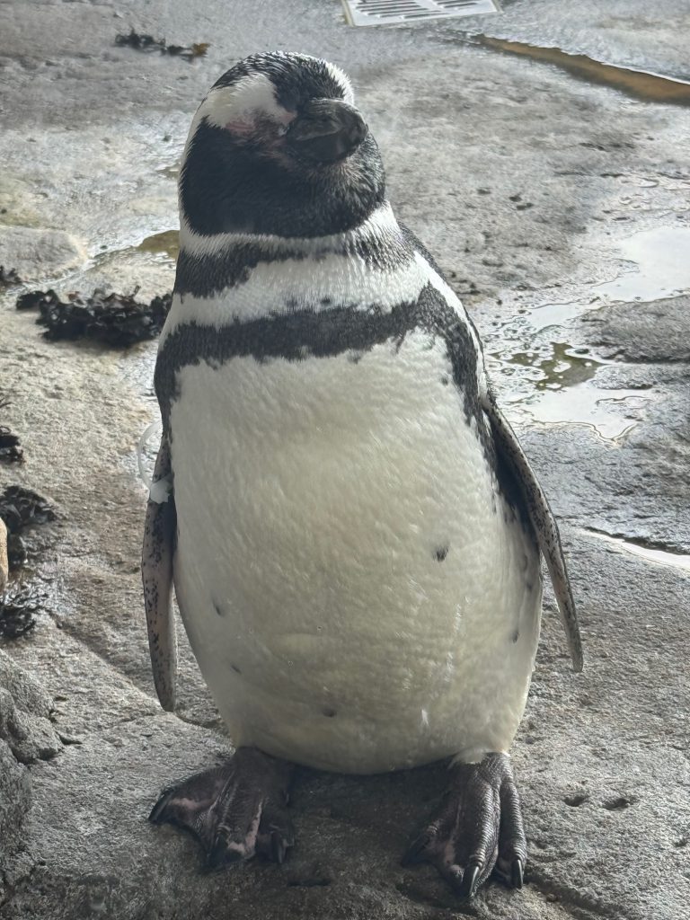 Aquarium Wilhelmshaven